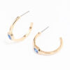 Oval Halo Hoop Earrings